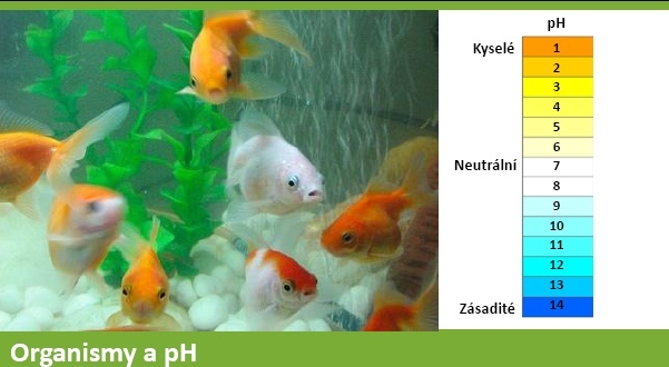 Organismy a pH